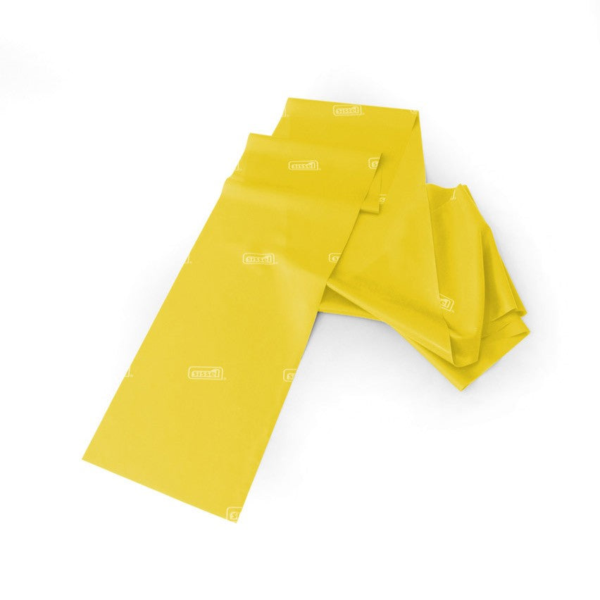 Fitband Plus | Sissel