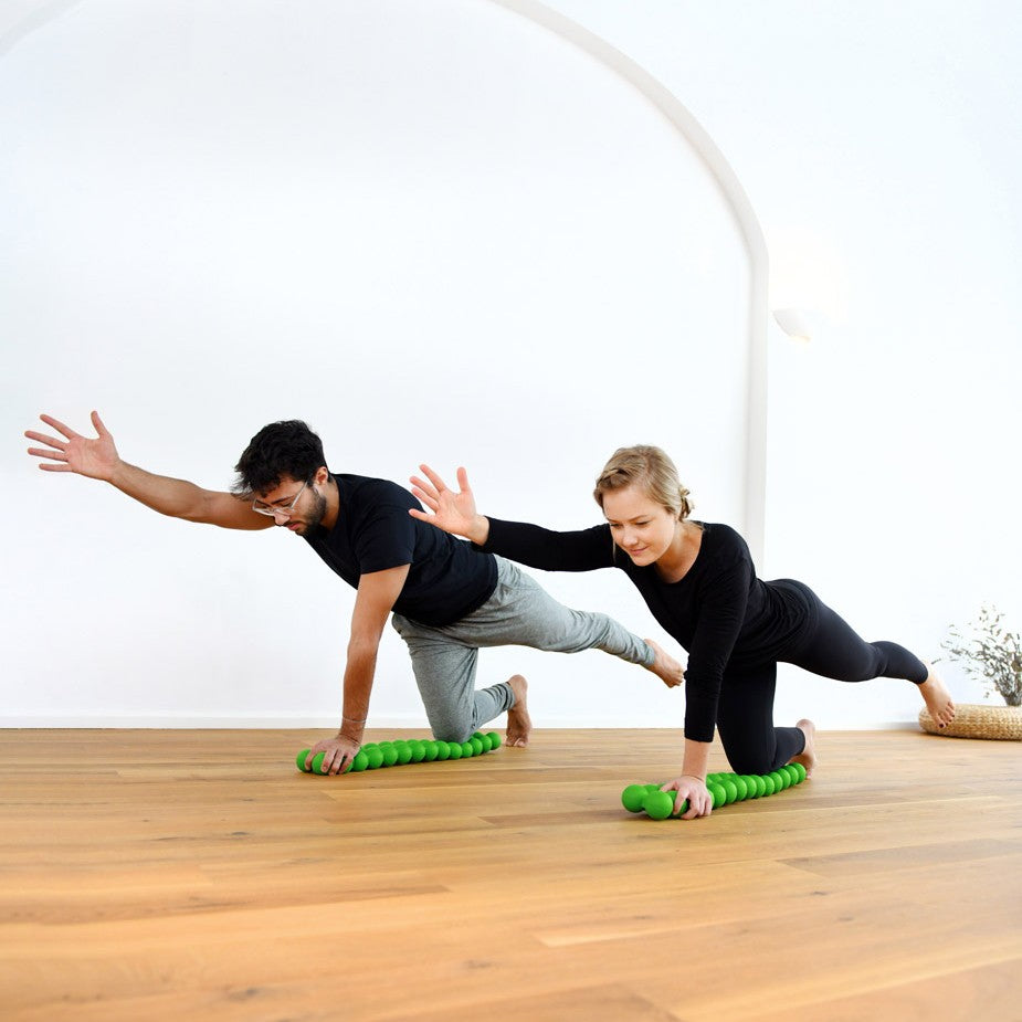 Spinefitter | Sissel